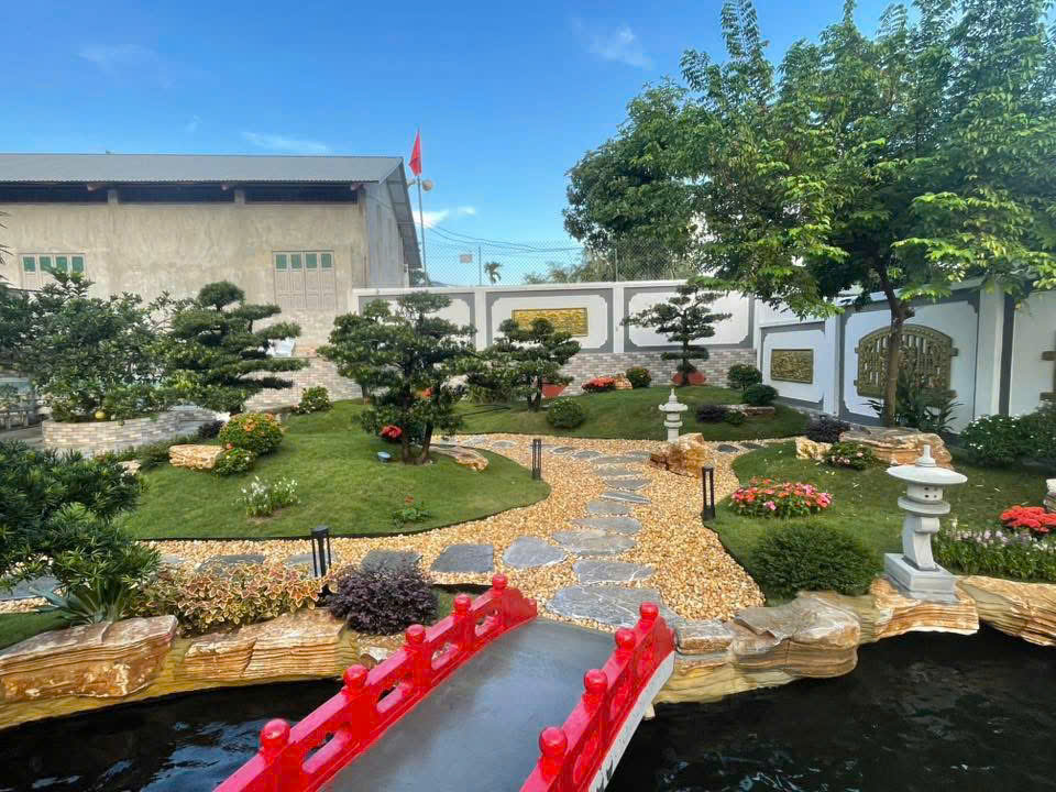 Thi công hồ koi